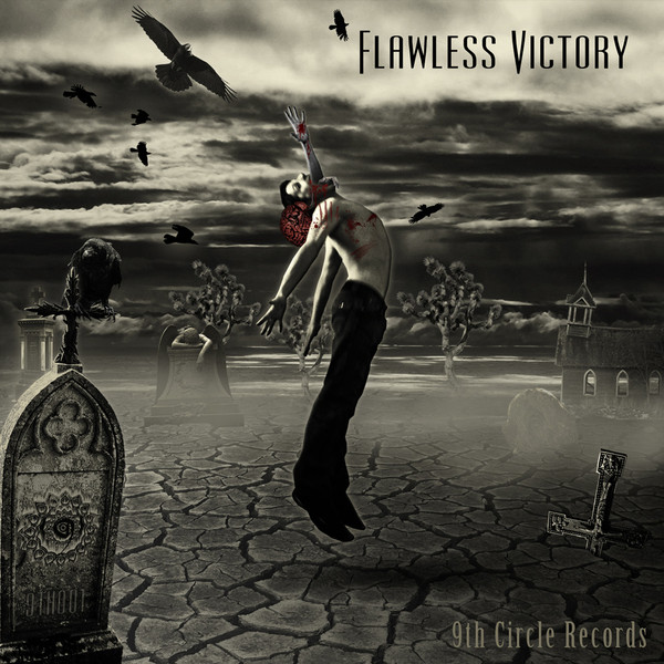 Flawless Victory cover