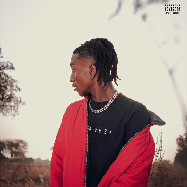 iNTRoVERt cover art