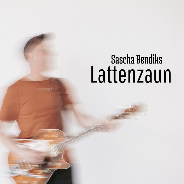 Lattenzaun cover