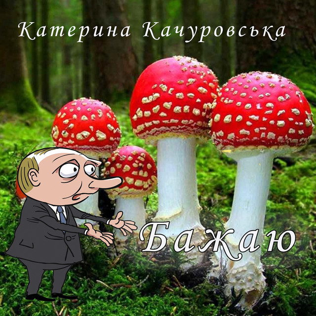 Обкладинка: Бажаю — Катерина Качуровська