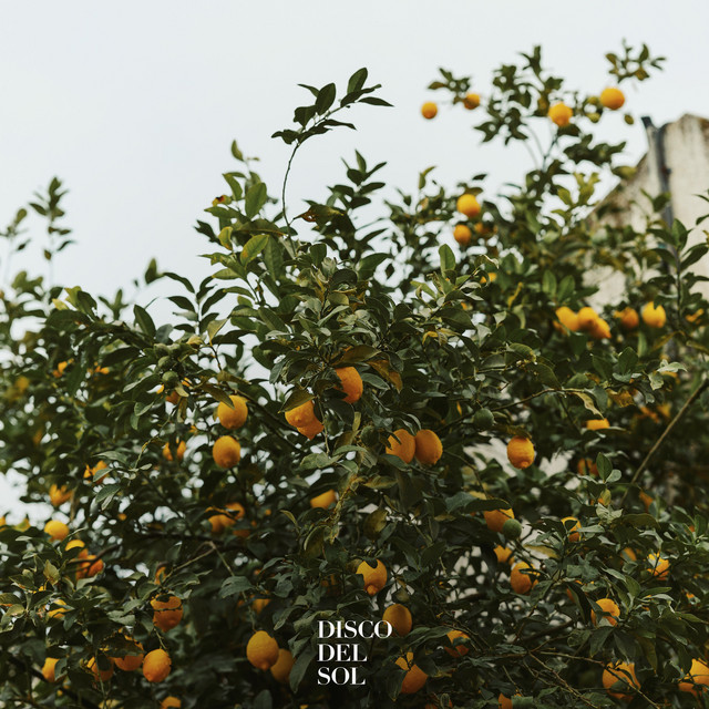 Lemons cover art