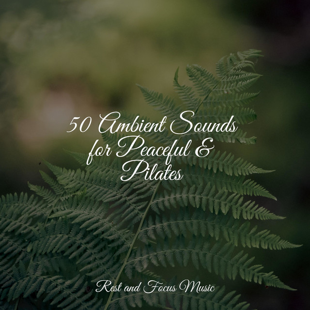 50 Ambient Sounds for Peaceful & Pilates - Album by Children's Music ...