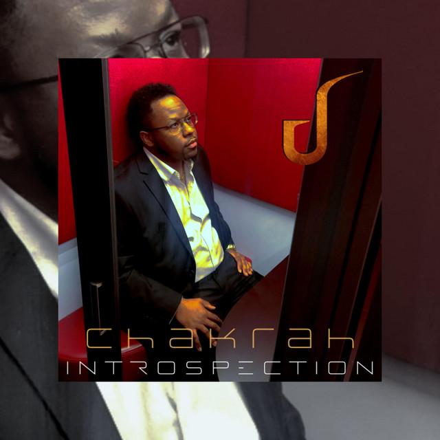 Introspection cover art