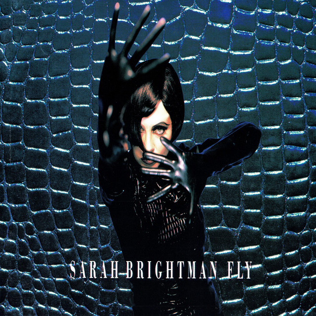 Fly cover art