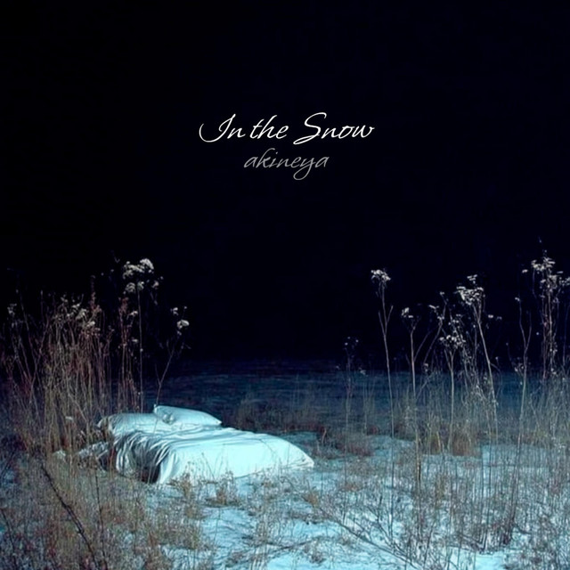 Обкладинка akineya — In The Snow