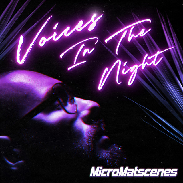 Voices in the Night cover art