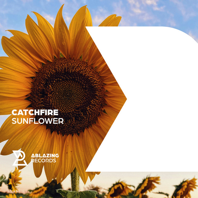 Sunflower cover art
