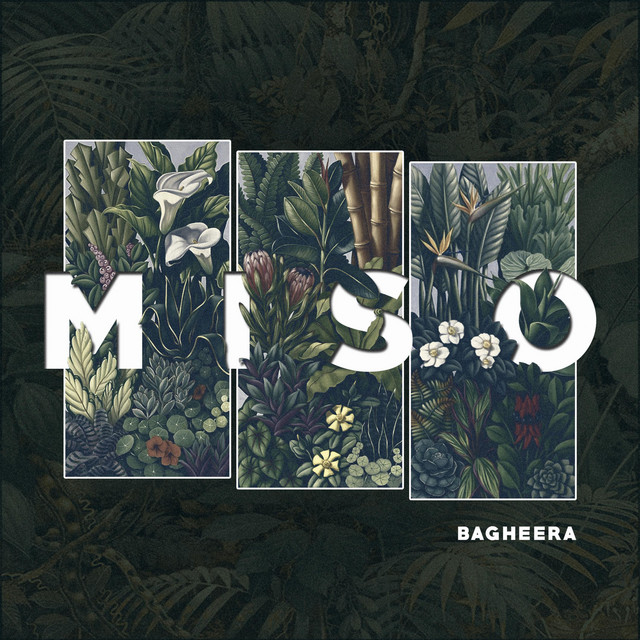 Miso cover