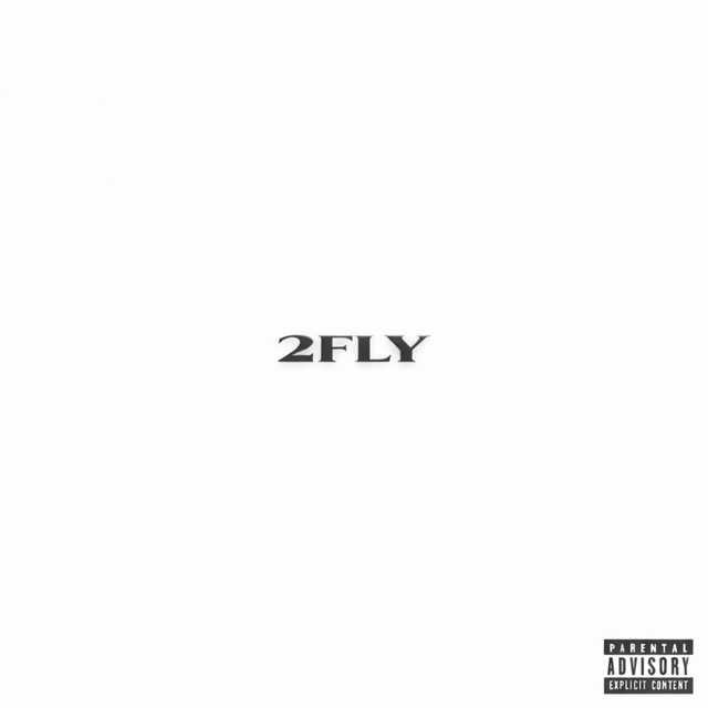 2FLY cover art