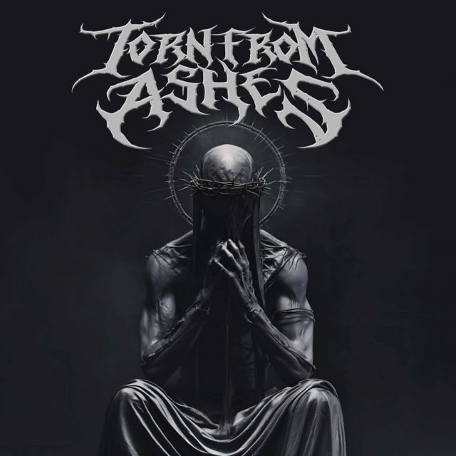 Torn From Ashes featured image