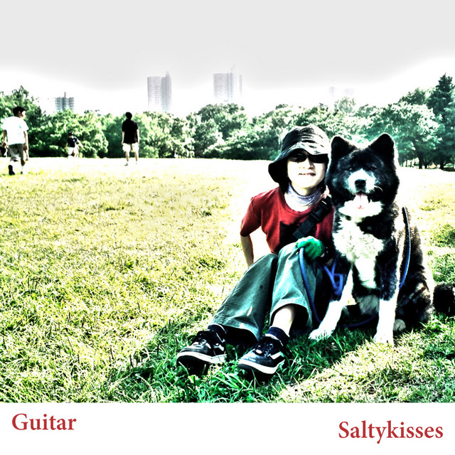 Saltykisses cover art