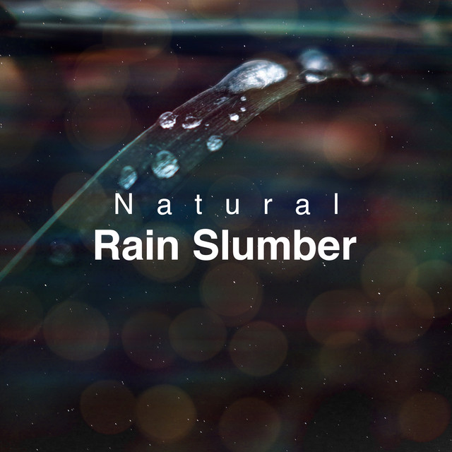 Natural Rain Slumber ! ! ! ! - Album by Rain for Deep Sleep | Spotify
