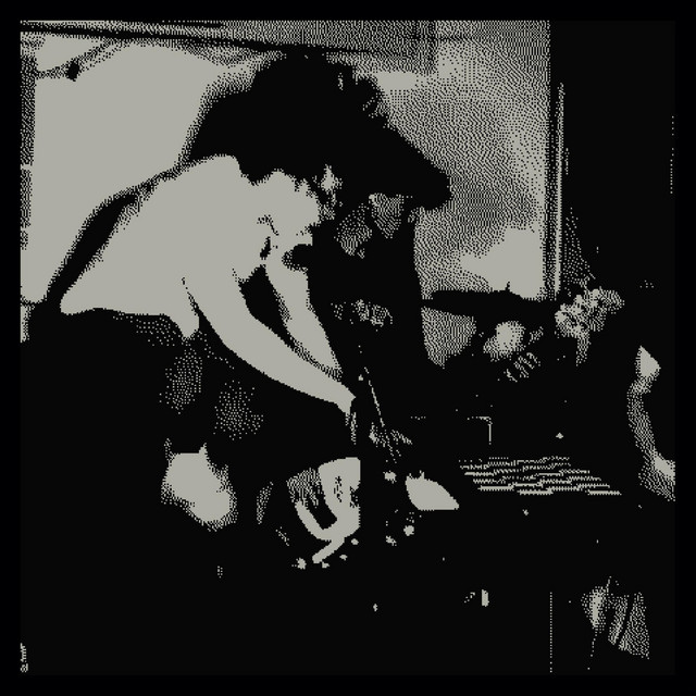 M.L.P. cover art