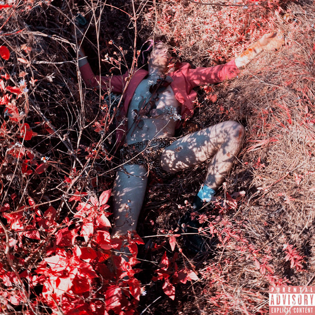 Send Flowers cover art