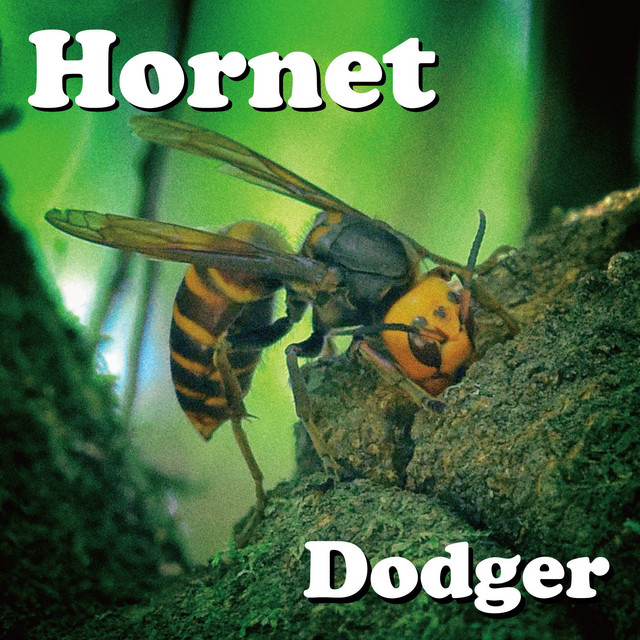 Hornet cover art