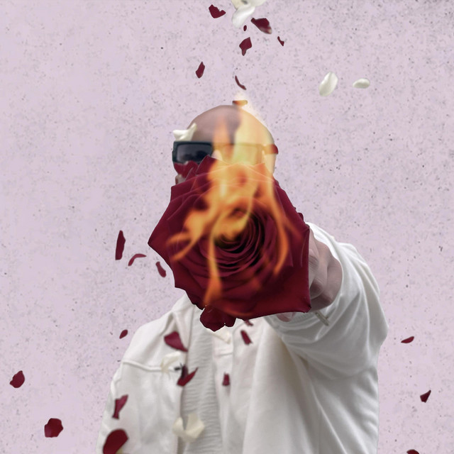 NO LOVE cover art