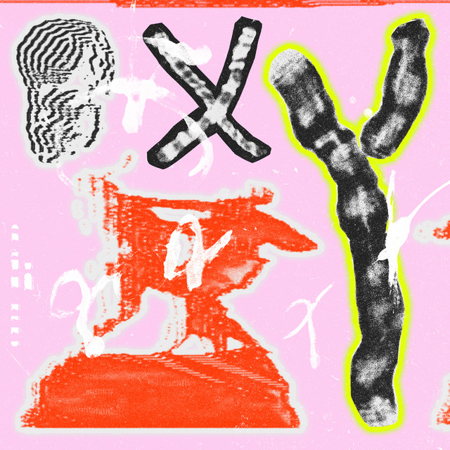 XY cover art