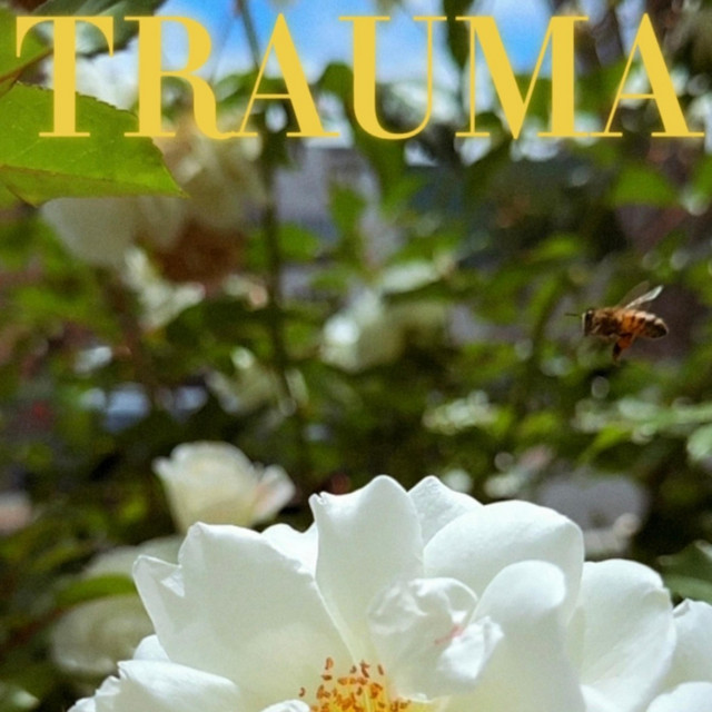 T R A U M A (freestyle) cover