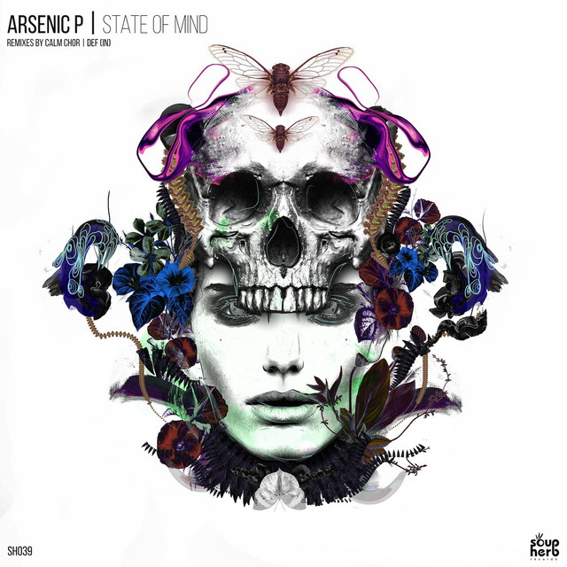Dreamer cover art