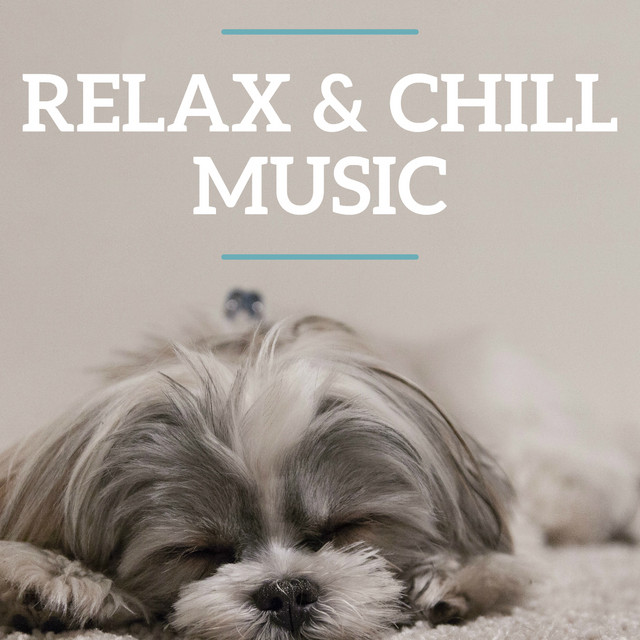 Relax & Chill Music cover art