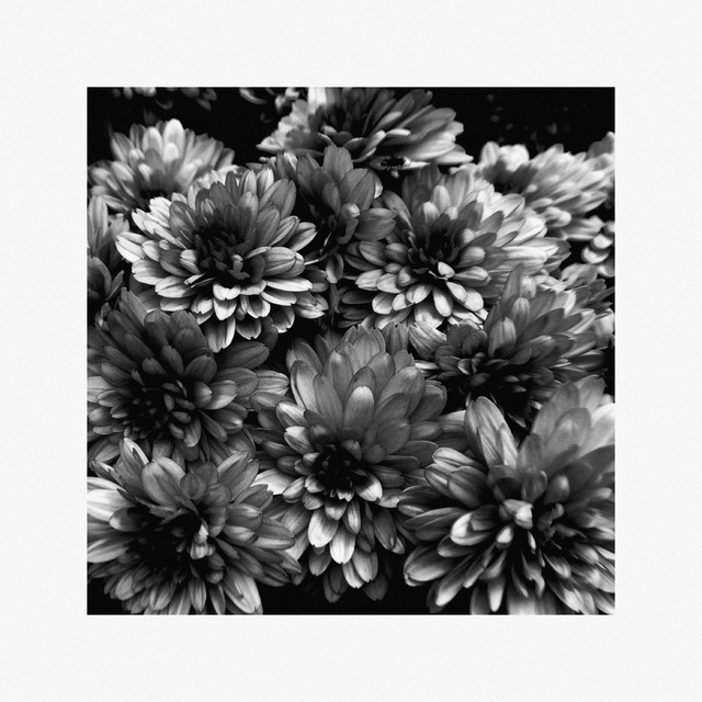 Lately / Never Better cover art