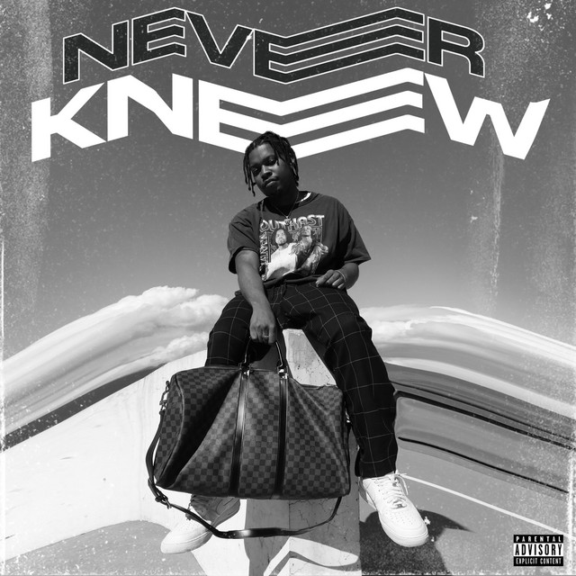 Never Knew cover art