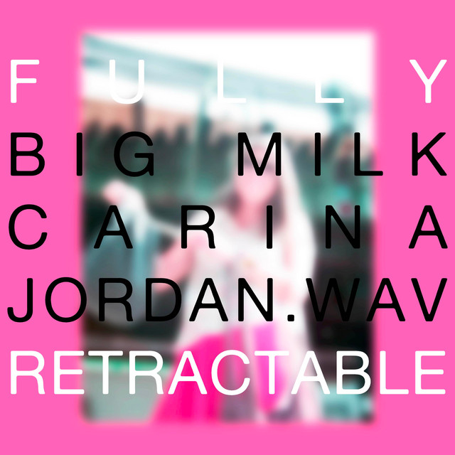 Shake it Off - Cover Version Fully Retractable Dub