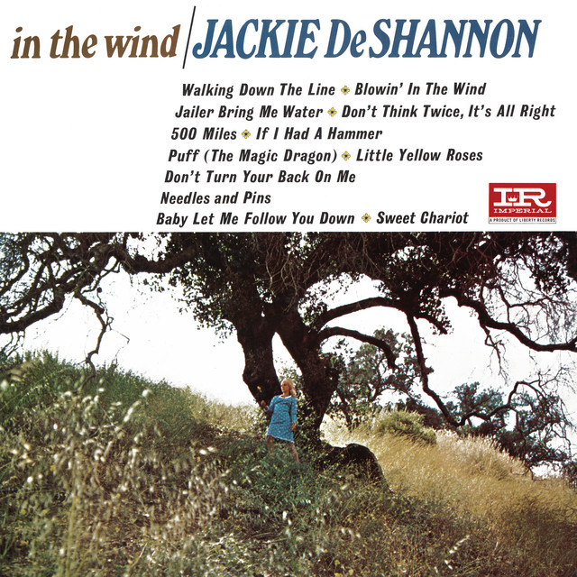 In The Wind cover