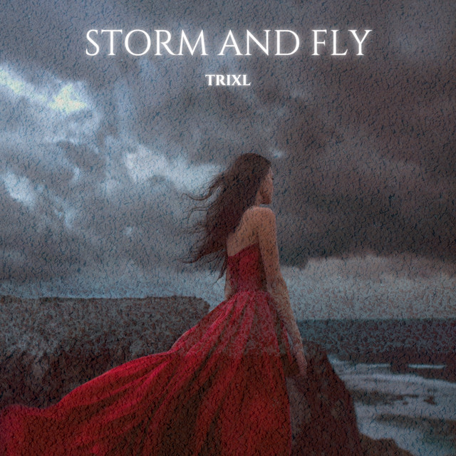 Storm and Fly cover