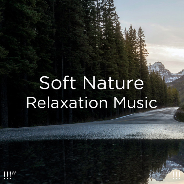 !!!" Soft Nature Relaxation Music "!!! cover art