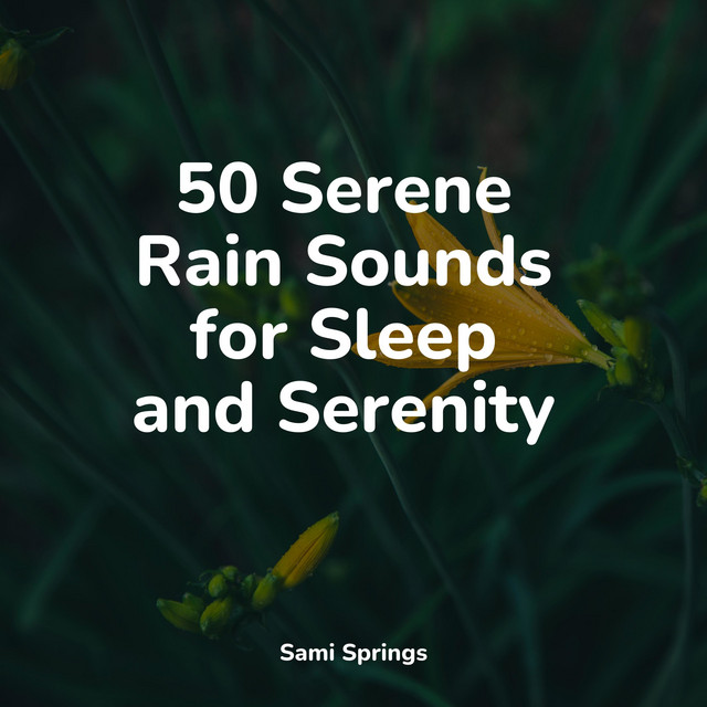 50 Serene Rain Sounds for Sleep and Serenity - Album by Música de la ...