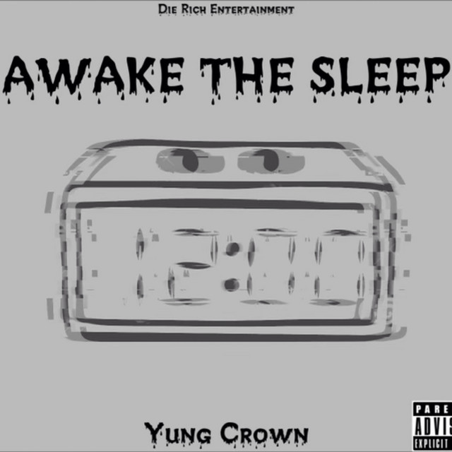 Awake The Sleep cover art