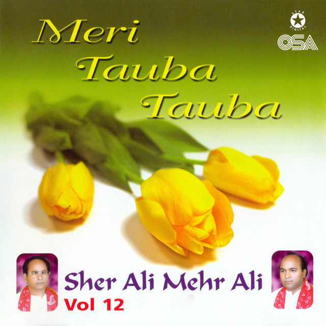 Meri Tauba Tauba, Vol. 12 cover art