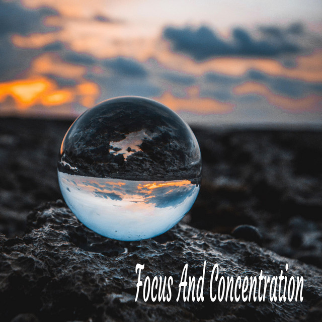 Focus And Concentration cover art