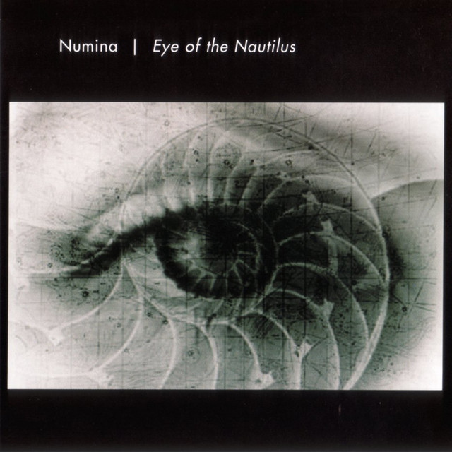 Eye of the Nautilus cover art