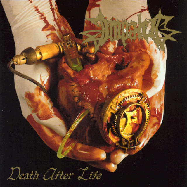 Death After Life cover art