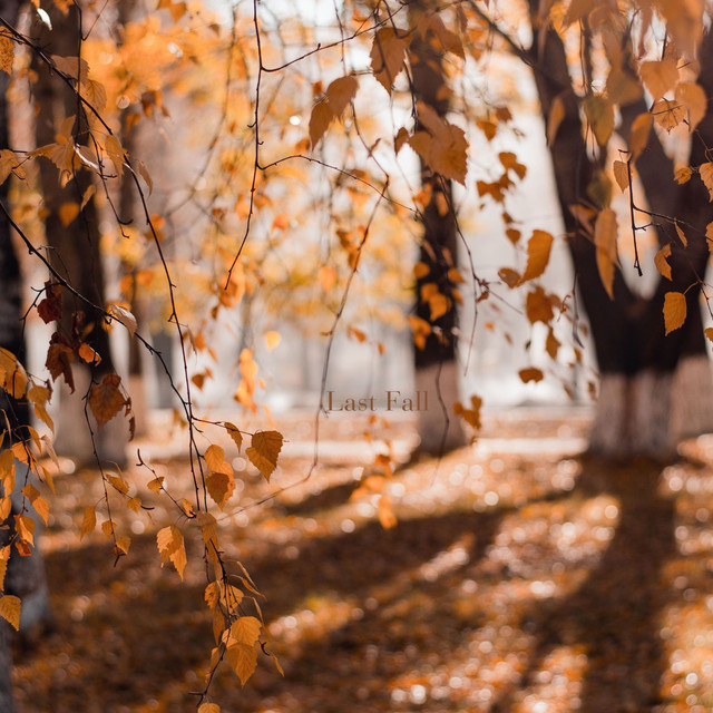 Last Fall
