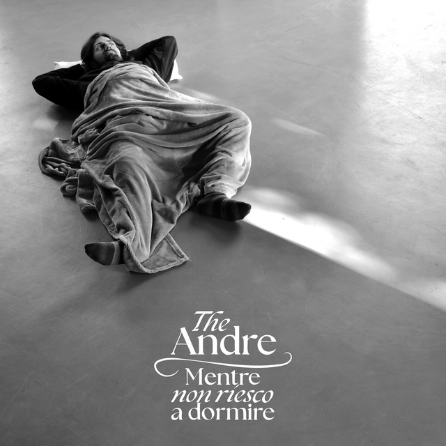 Mentre non riesco a dormire cover art