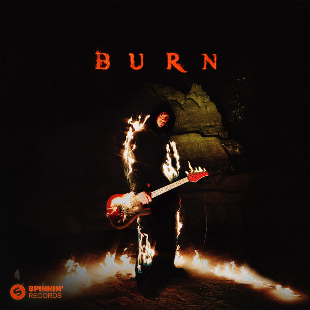 CD BROWN burnish BURNY 邦楽