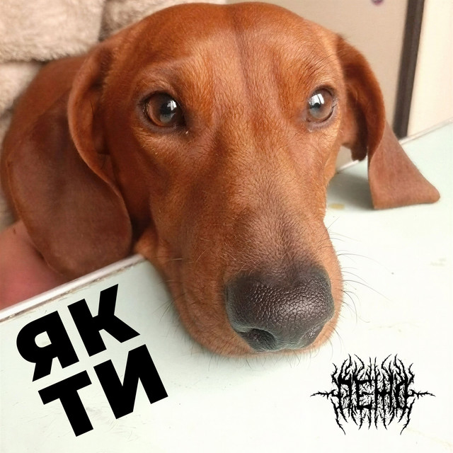 Обкладинка: Як ти — Пежо