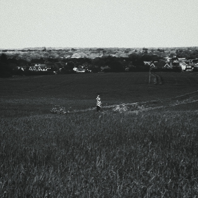 THE GREY cover art