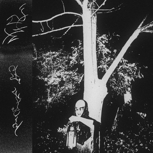 novej qalhnjënno cover art