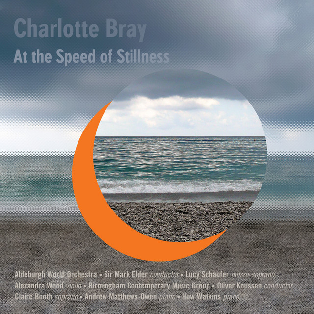 Charlotte Bray: At the Speed of Stillness — Charlotte Bray