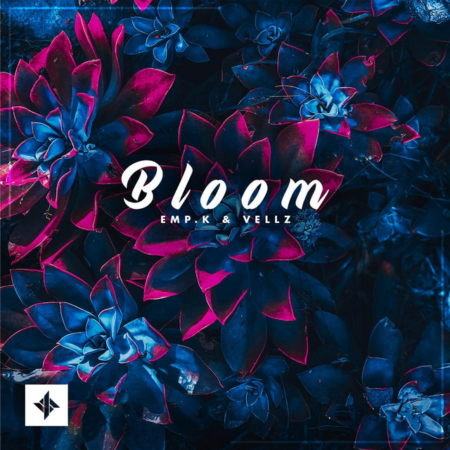 Bloom
