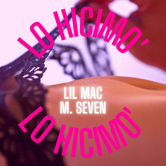 Lo hicimo' cover art