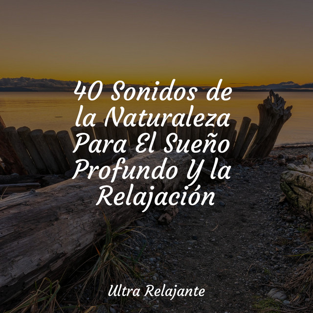 40 Sonidos de la Naturaleza Para El Sueño Profundo Y la Relajación ...