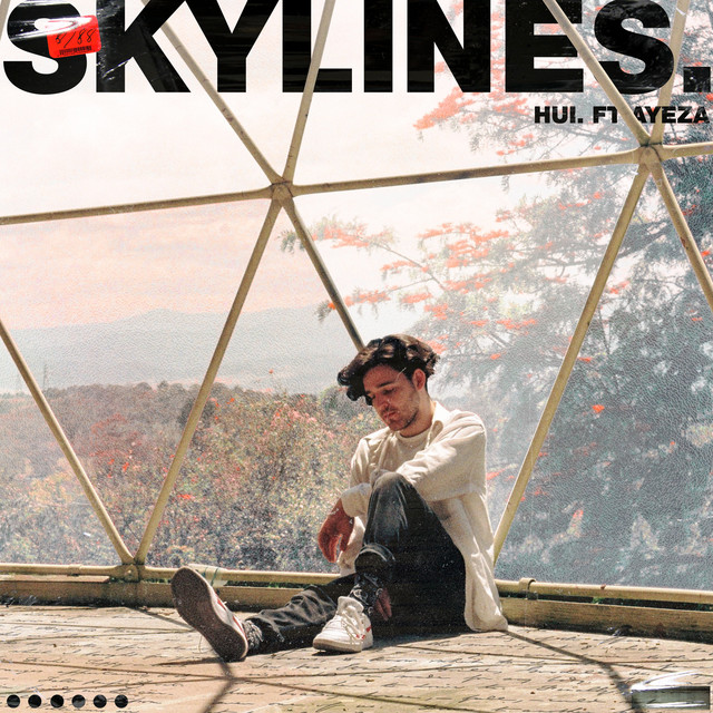 Skylines cover art