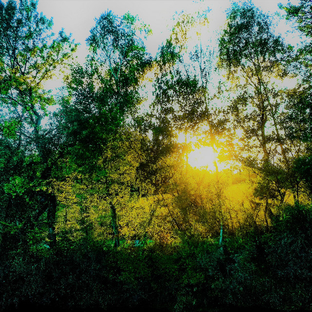 Before The Night Falls