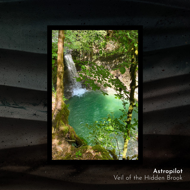 Veil of the Hidden Brook cover art