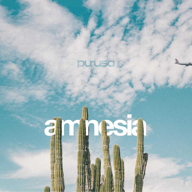 Amnesia cover